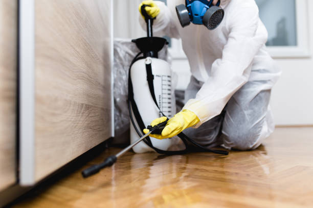 Wasp Removal Services in Burnettown, SC