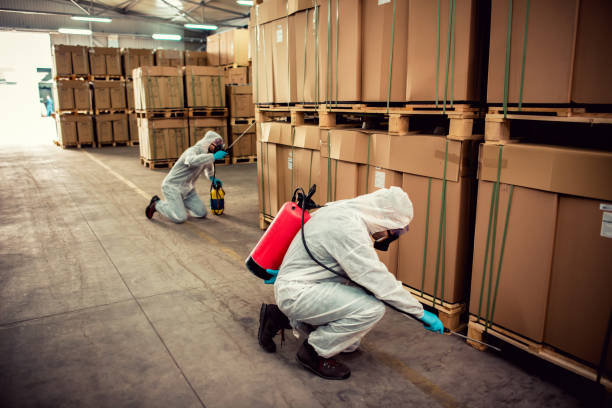 Best Wasp Removal Services  in Burnettown, SC