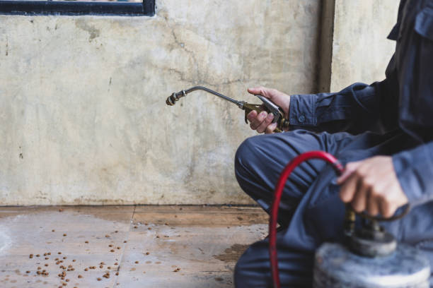 Best Pest Inspection Near Me  in Burnettown, SC